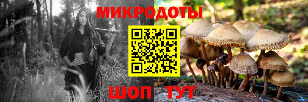 Псилоцибиновые грибы прущие грибы Валуйки